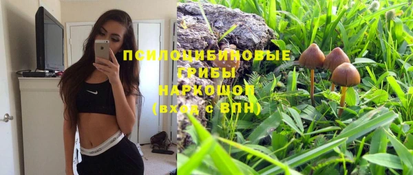 соль ск Алексеевка