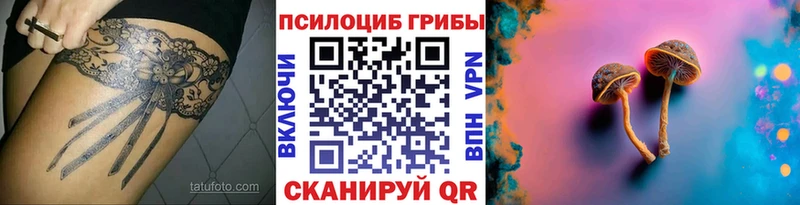 Галлюциногенные грибы Psilocybine cubensis  Славск 
